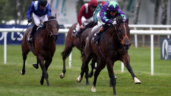 Ivawood is a top-price 8-1 favourite for next season's 2000 Guineas despite never having run over more than six furlongs