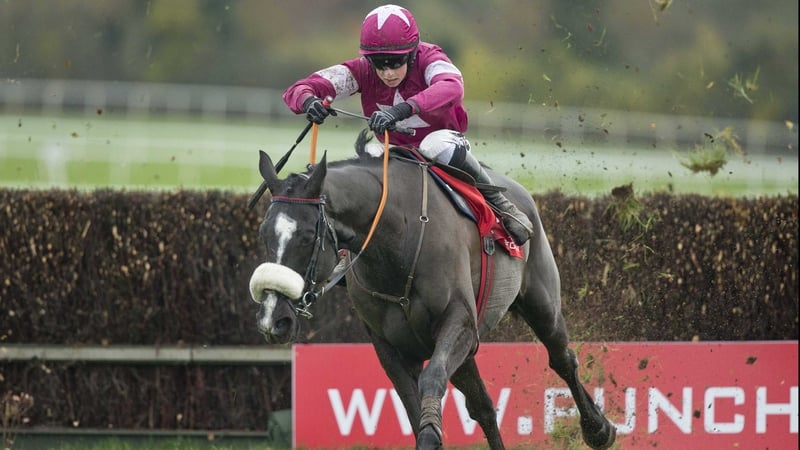Don Cossack missed out on racing over the festive period