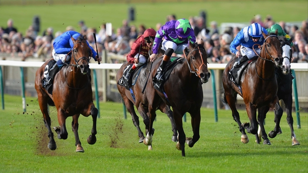 Charming Thought (near side) is a top-price 25-1 for next season's 2000 Guineas after his Middle Park win