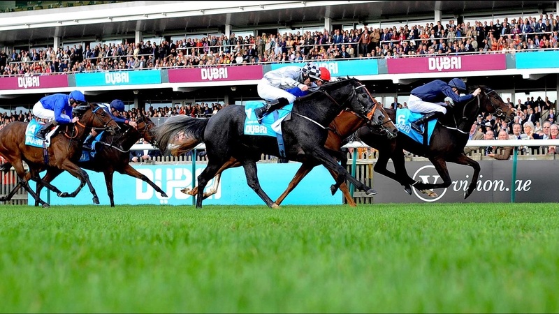 Together Forever was the most experienced horse to line up in the Fillies' Mile, having made five previous starts