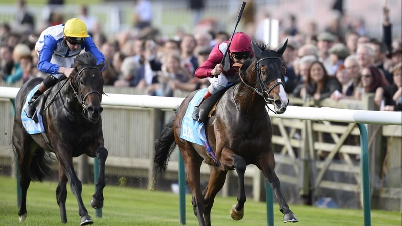 Belardo provided freshman sire Lope De Vega with a first Group One winner