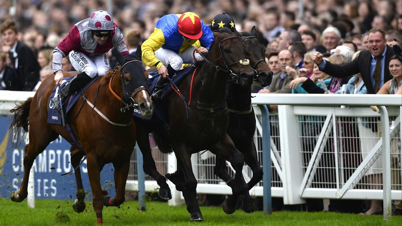 Gordon Lord Byron (cross noseband) darts through a gap between Tropics and Jack Dexter