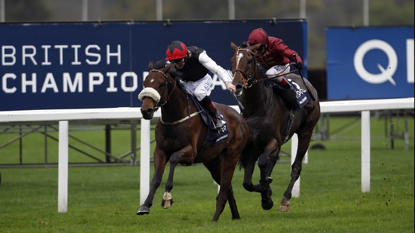 Forgotten Rules is unbeaten over four races