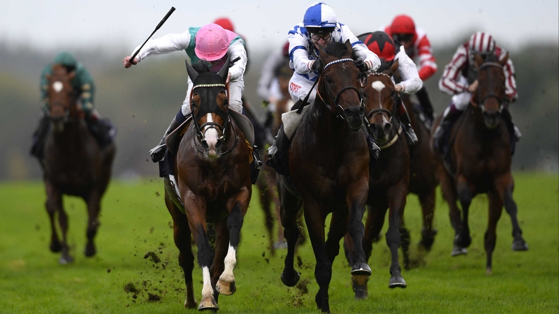 Al Kazeem finished second in the Champion Stakes at Ascot behind Tattersalls Gold Cup winner Noble Mission on his final start last season