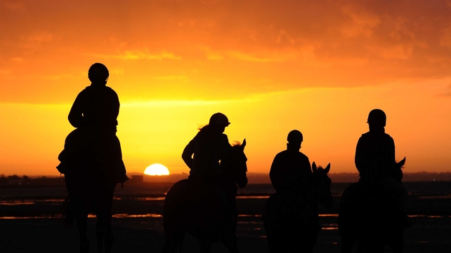 Horses from the Gai Waterhouse stable head out for a beach work session at Altona Beach in Melbourne, Australia