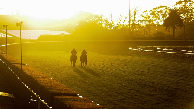 Generalife and Contributer gallop on the course proper during a trackwork session at Caulfield Racecourse in Melbourne, Australia