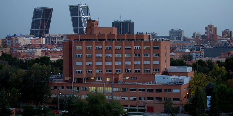 Teresa Romero was cleared of the deadly virus by doctors at Madrid's Carlos III hospital this week