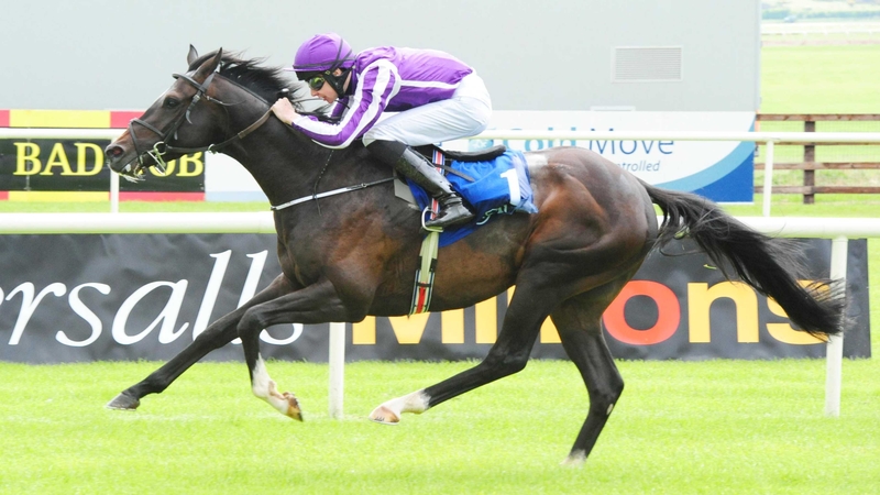 Adelaide should be ideally suited by the slow early pace and sprint finishes that transpire in many of Australia's top races