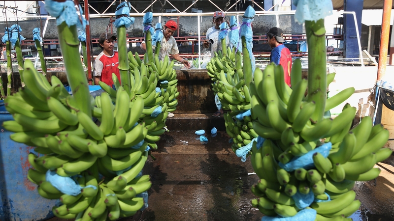 Chiquita shareholders reject bid approach from Fyffes