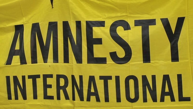 The Chief Executive of Amnesty International Ireland said the organisation would consider challenging it