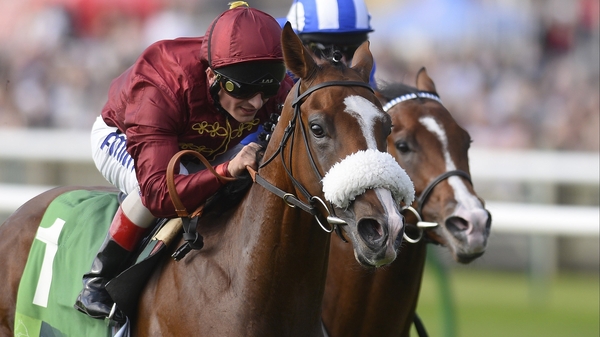 Andrew Balding believes Elm Park can be a Derby contender
