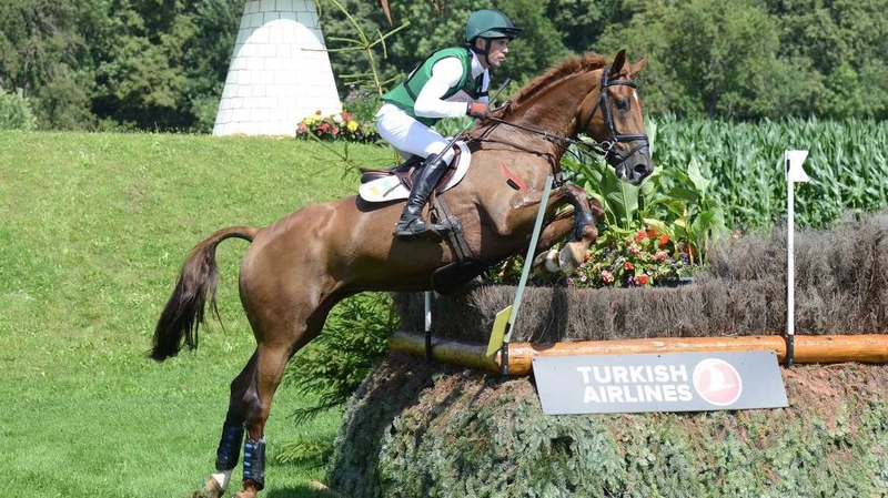Joseph Murphy and Electric Cruise in action in France