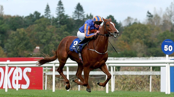 Giovanni Canaletto was a fast-finishing second in the Gallinule Stakes at the Curragh on his seasonal reappearance