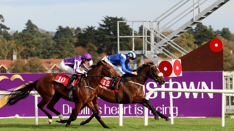 Zawraq comes home to win