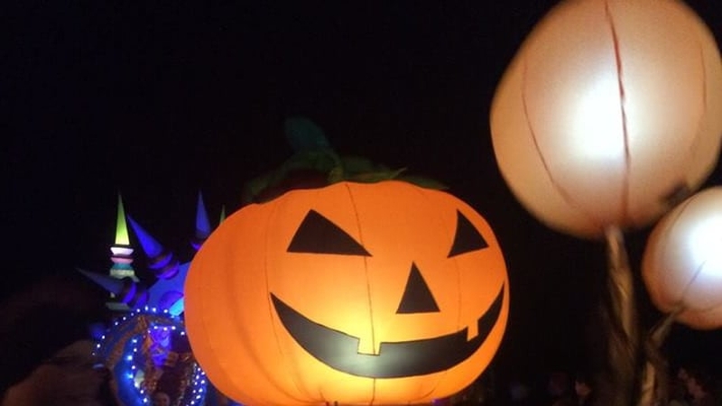 Pumpkin Festival held in Virginia, Cavan Pic: courtesy Sandra Ryan