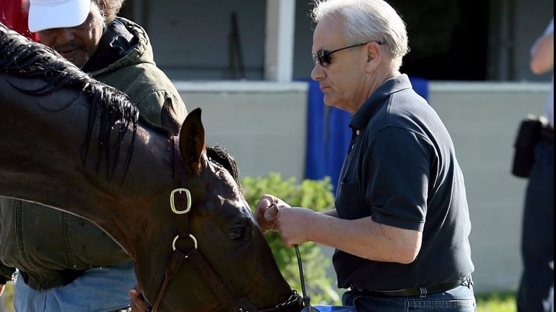 Jerry Hollendorfer's Breeders' Cup Classic favourite Shared Belief will break from gate six