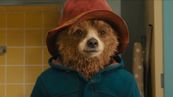 Is this the cutest bear in the world?