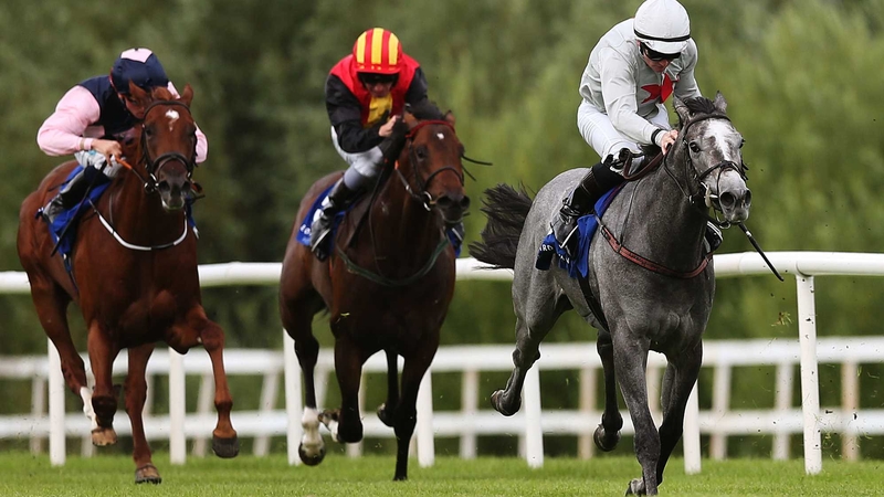 Vert De Grece pictured winning his maiden at Leopardstown
