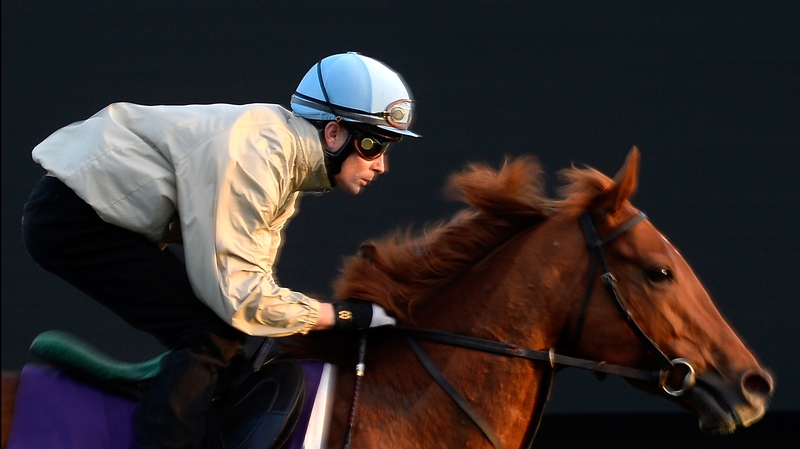 Mustajeeb in training this week