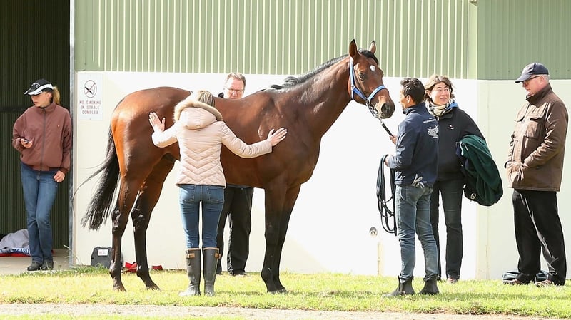 Moore has long been booked for the mount on Protectionist