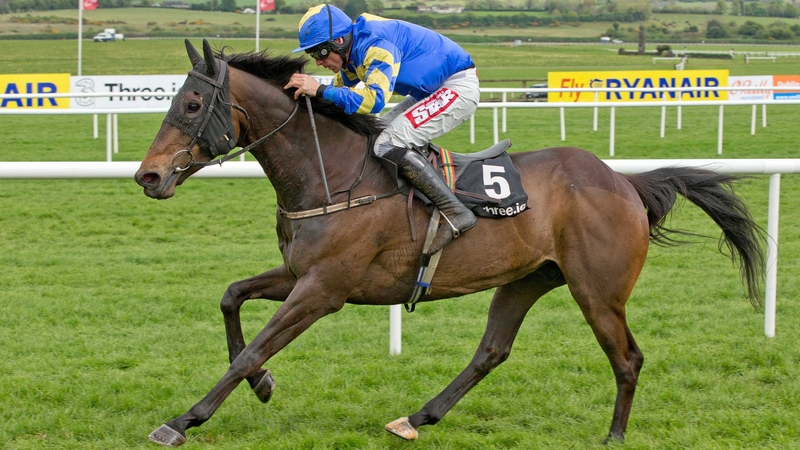 Mallowney will run Gowran Park later this month