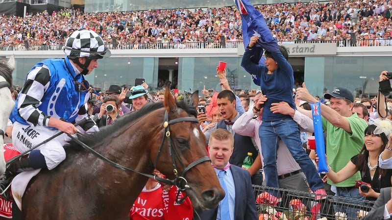 Protectionist failed to win in eight starts in 2015