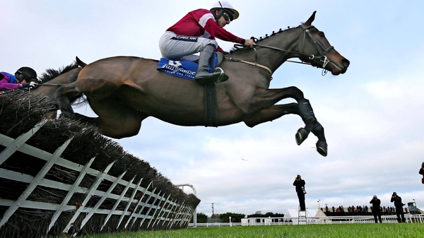 Analifet in action in 2013