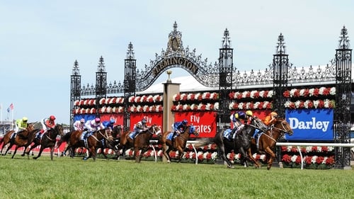 Hugh Bowman celebrates after steering Terravista to victory in the Darley Classic as Slade Power and Wayne Lordan (red and white check cap) trail home in 11th place