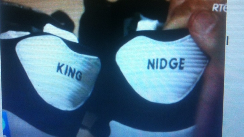 Can be collected at the bottom of Nidge's garden