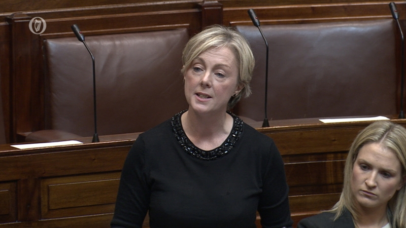 Regina Doherty said she has been subjected to "politically motivated" attacks online