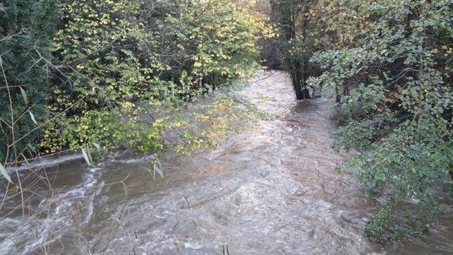 The Tolka River in Blanchardstown following the overnight downpour (Pic: Chris Brón)