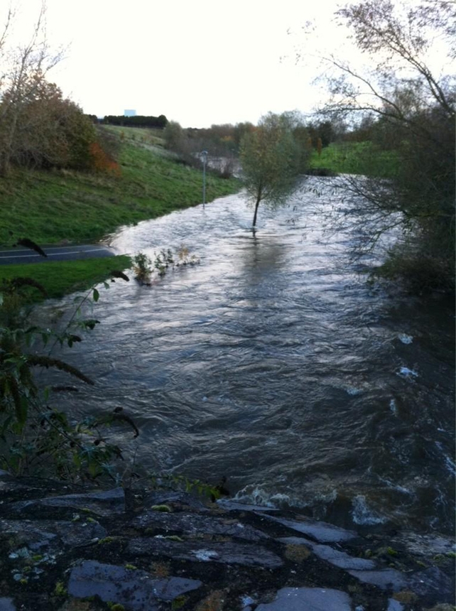 Tolka Park in Finglas (Pic: @MooEmma)
