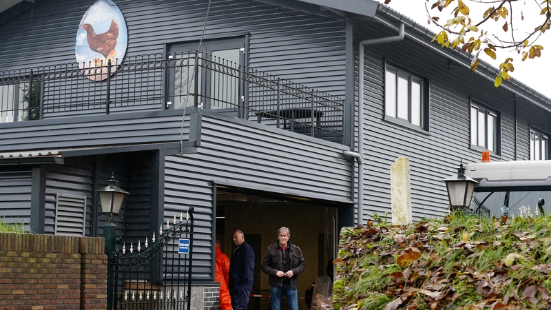 150,000 chickens are to be culled in the Netherlands