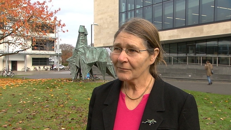 Dr Micheline Sheehy-Skeffington applied for a senior lectureship post at the university in 2009