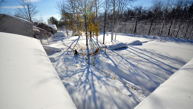Homeowners around Buffalo woke up to find their vehicles buried in snow