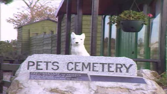 Pet Cemetery