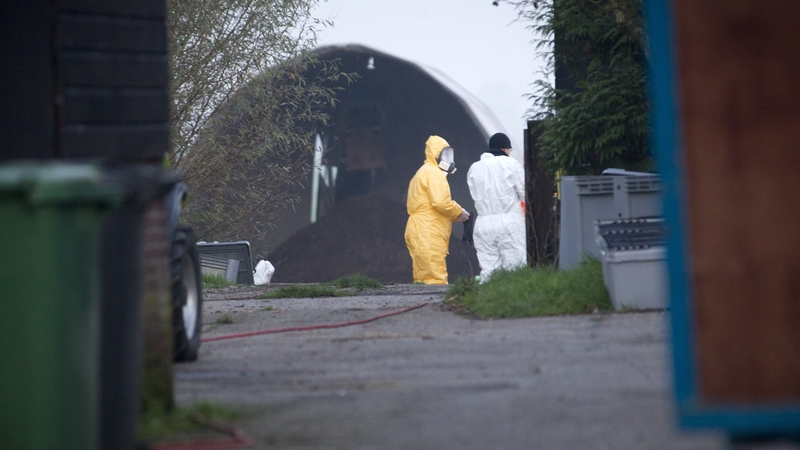 Workers in protective clothing on the farm near The Hague where the second case of bird flu was detected