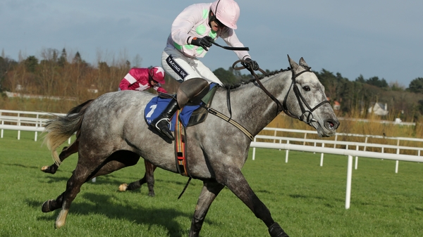 Ballycasey is one of seven Willie Mullins' horses aimed at the Topham Chase at Aintree