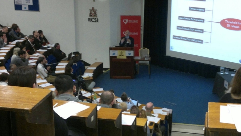 Today's conference at the Royal College of Surgeons in Dublin was organised by the Irish Heart Foundation