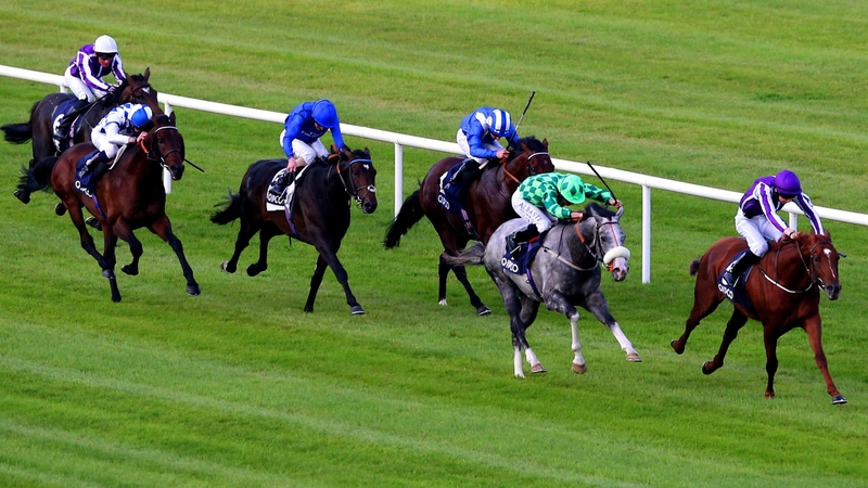 Trading Leather (royal blue silks) was last seen finishing in third behind The Grey Gatsby in the Irish Champion Stakes at Leopardstown
