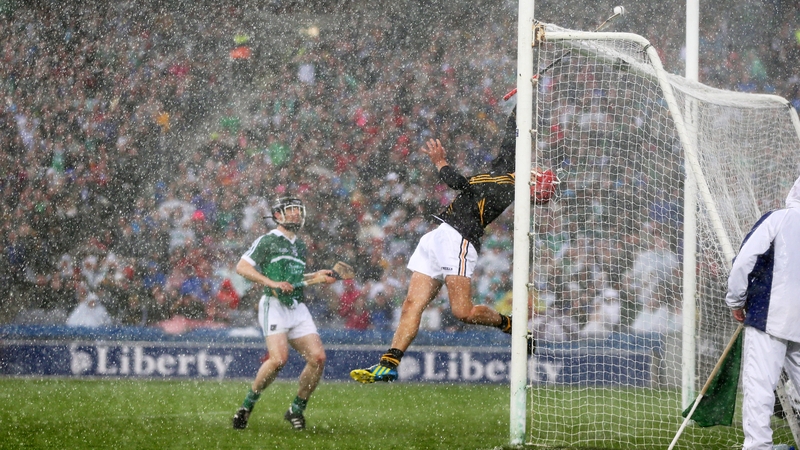 David Herity in action for Kilkenny against Limerick this year
