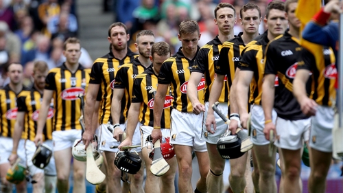 "They are essentially like brothers," said Brian Hogan of his Kilkenny teammates