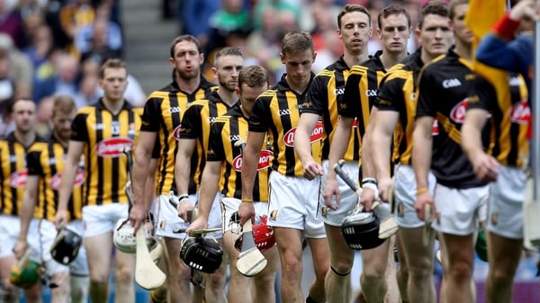 "They are essentially like brothers," said Brian Hogan of his Kilkenny teammates