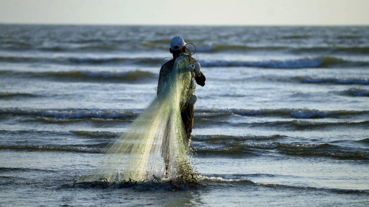Are Naked Clams the seafood of the future?