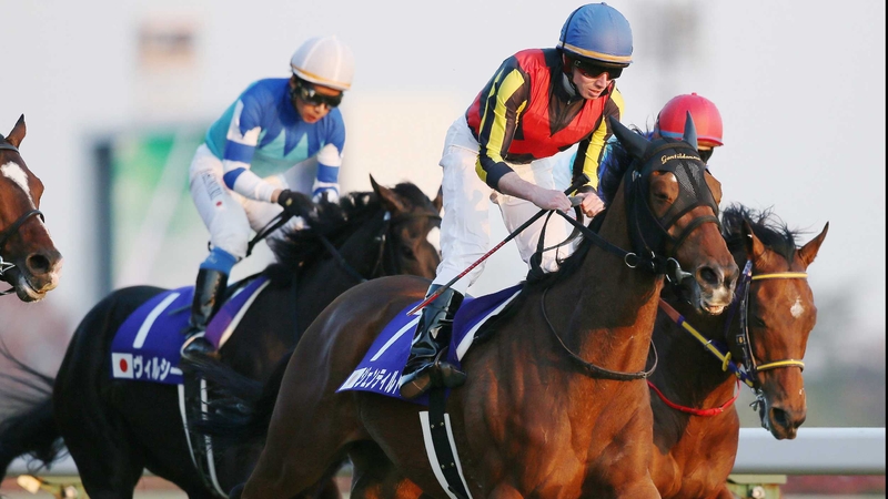 Gentildonna beat Denim And Ruby by a nose in last year's Japan Cup