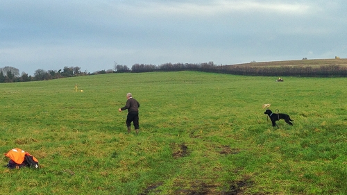 The search is taking place close to where the remains of Brendan Megraw were found weeks ago