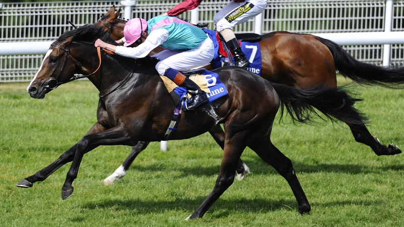 Snow Sky (nearest) is favoured for a good run in Hong Kong on Sunday week