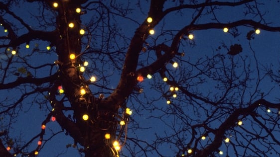 Christmas Lights in Glasthule in 1958