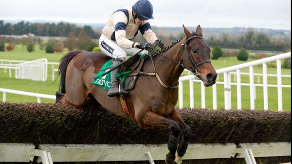 Felix Yonger could line up in the Champion Chase at Punchestown after justifying favouritism in the Webster Cup Chase