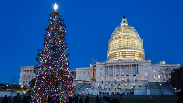 The Capitol Christmas tree in Washington DC